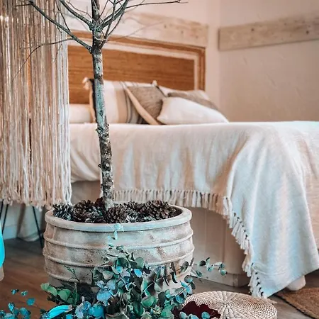 Con Burbuja Luxe tent Canyelles (Catalonia)